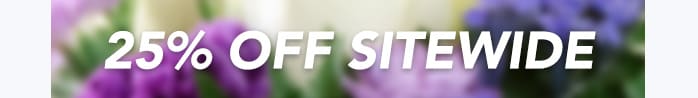 25% off sitewide