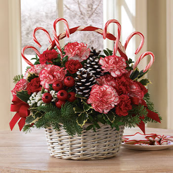 Candy Cane Christmas