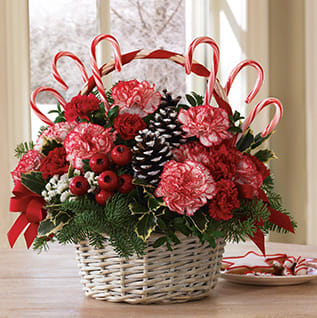 Candy Cane Christmas