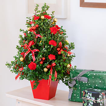 Deck The Halls Tree