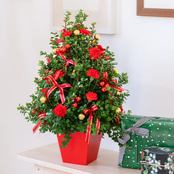 Deck The Halls Tree