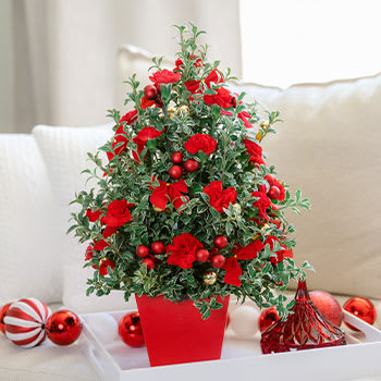 Deck The Halls Tree