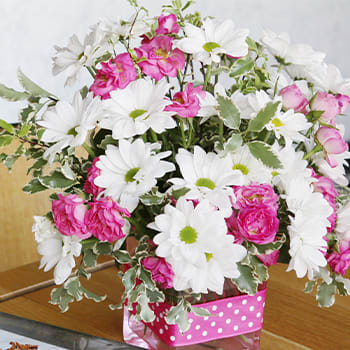 Teleflora's Polka Dots and Posies