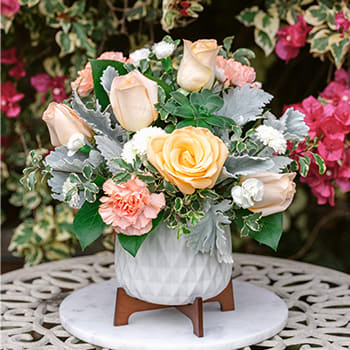 Teleflora's Mod Rose Bouquet