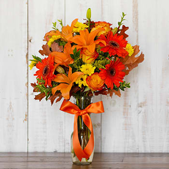 Burst of Autumn