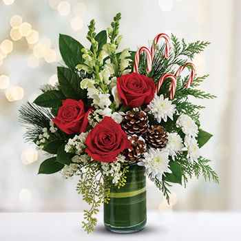 Teleflora's Festive Pines Bouquet