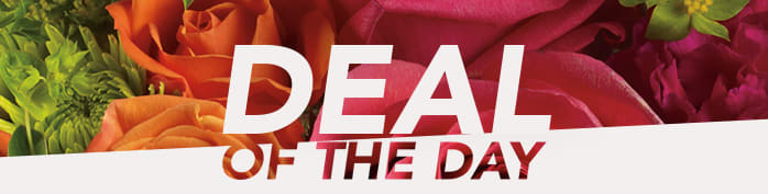 DEAL OF THE DAY