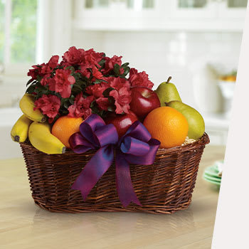 BRING A BASKET<br>FULL OF CHEER 