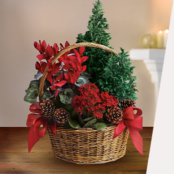 SEND A GIFT BASKET 