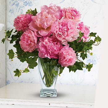 LAST CALL FOR PEONIES