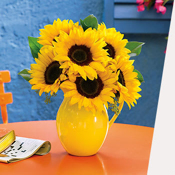 WELCOME<br>SUNFLOWERS