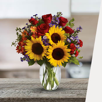 SPOTLIGHT ON SUNFLOWERS 