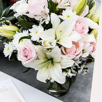 Let Kindness Bloom