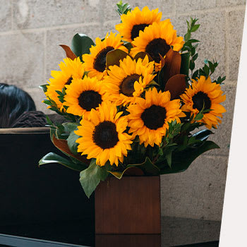 On Trend: <br> Sunflowers
