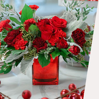 SHOP<br>WINTER BEAUTIES 