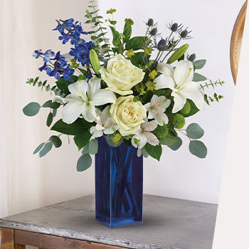 CELEBRATE THE<br>HANNUKKAH SEASON