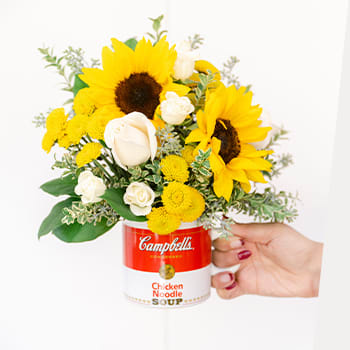 Brighten Spirits
