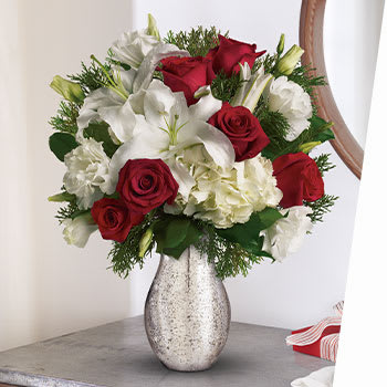 SURPRISE <br>YOUR LOVED ONES