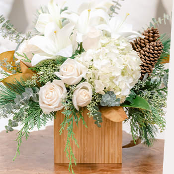 WOW WITH<br> WINTER FLOWERS