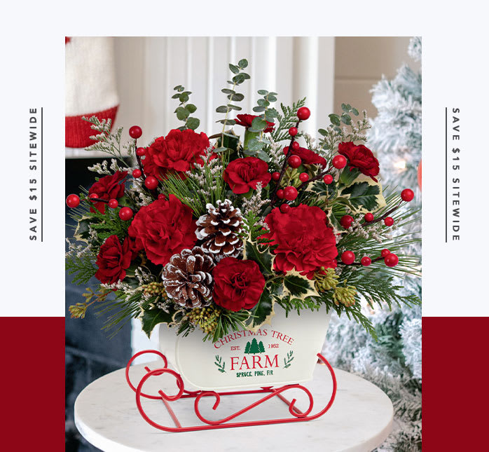 Teleflora's Snow What Fun Bouquet
