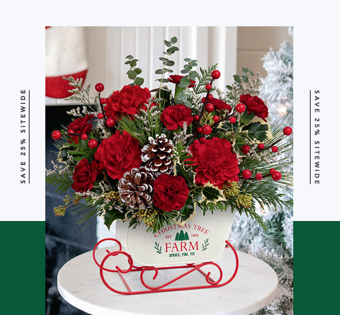 Teleflora's Snow What Fun Bouquet