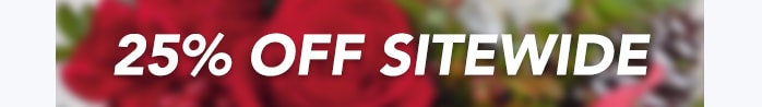 - 25% OFF SITEWIDE -
