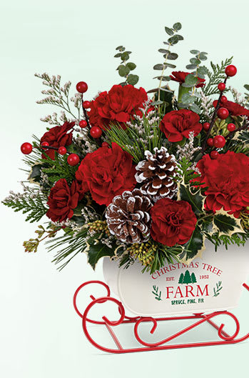 Teleflora's Send a Hug Warm Wisher Tree