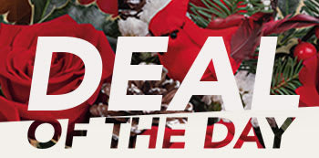 HOLIDAY DEAL OF THE DAY