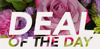 DEAL OF THE DAY 