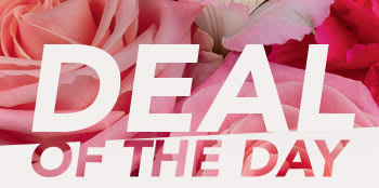 DEAL OF THE DAY 