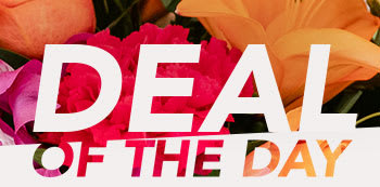 DEAL OF THE DAY 