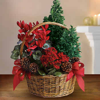 SEND A GIFT BASKET 