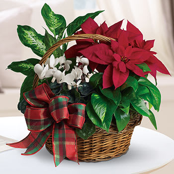 Holiday Homecoming Basket