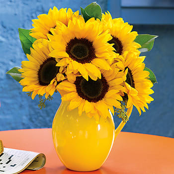 WELCOME<br>SUNFLOWERS