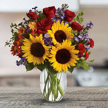 SPOTLIGHT ON SUNFLOWERS 