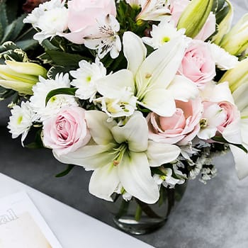Let Kindness Bloom