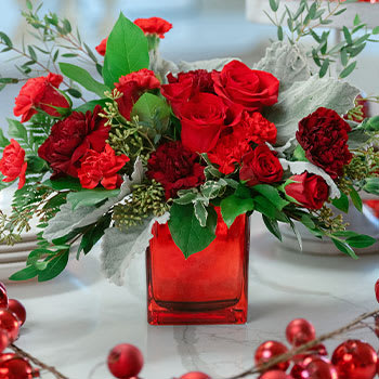 SHOP<br>WINTER BEAUTIES 