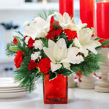 Caroling In The Snow by Teleflora