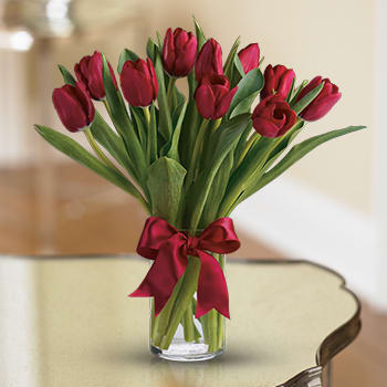 Radiantly Red Tulips