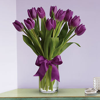 Passionate Purple Tulips