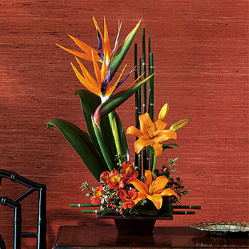 Teleflora's Exotic Grace