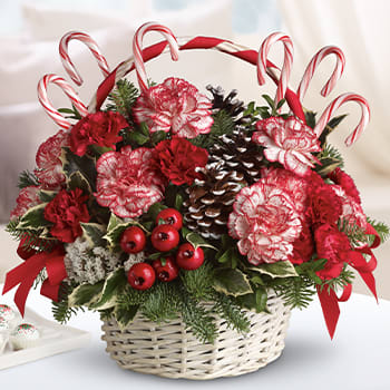 Candy Cane Christmas