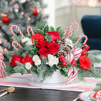 Candy Cane Christmas