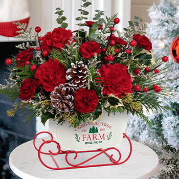 Teleflora's Snow What Fun Bouquet