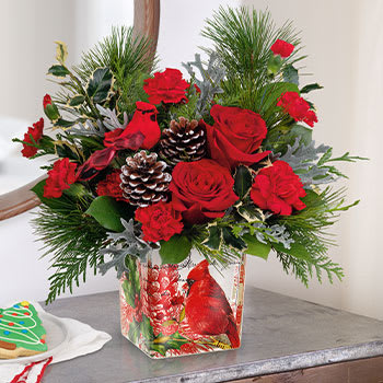 Teleflora's Cardinal Cheer Bouquet