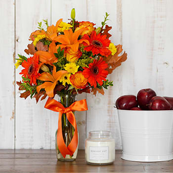Burst of Autumn