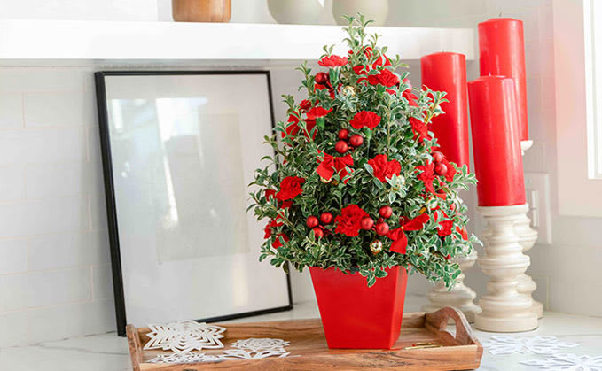 Deck The Halls Tree