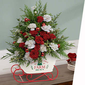 GET YOUR HOLIDAY GREENS