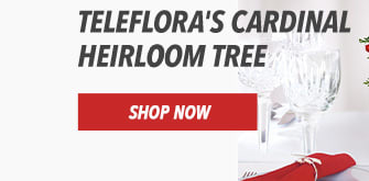 Teleflora's Cardinal Heirloom Tree