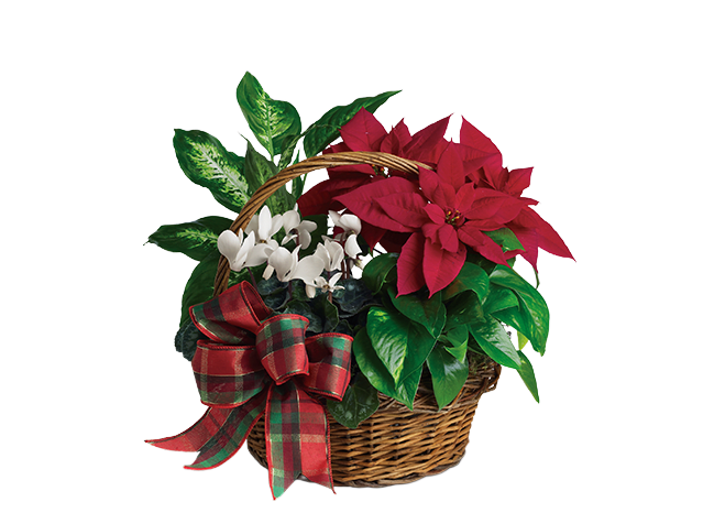 Holiday Homecoming Basket